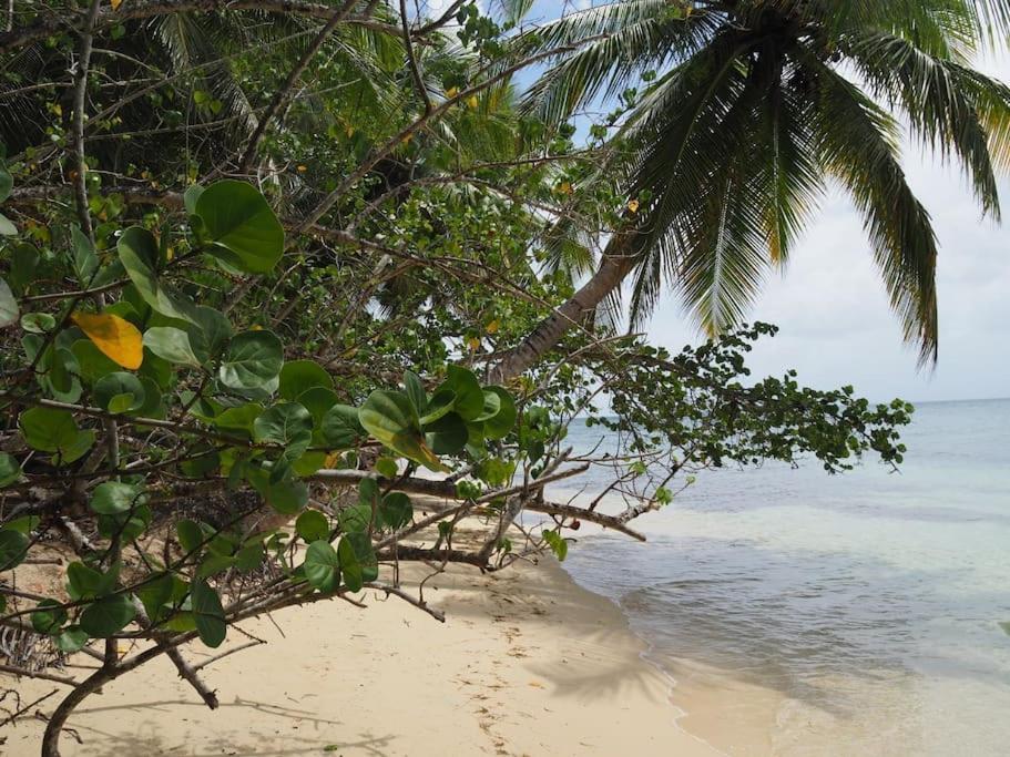 Katalea - Blue Dream, Plage, Piscine, Bar Grand-Bourg (Marie Galante) Exterior photo